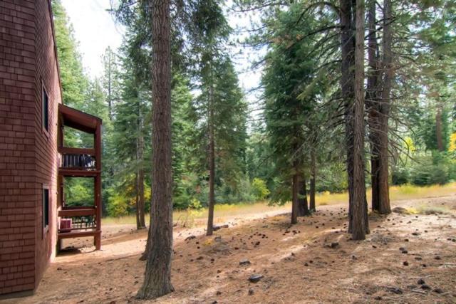 Ski-Inandski-Out Northstar Condo Near Lake Tahoe! تروكي المظهر الخارجي الصورة